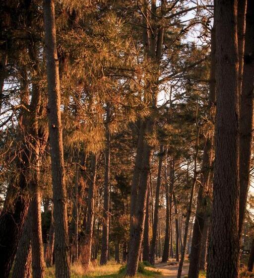 Bed and Breakfast El Bambu