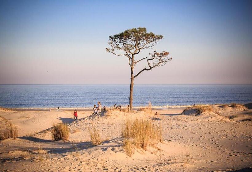 Bed and Breakfast El Bambu