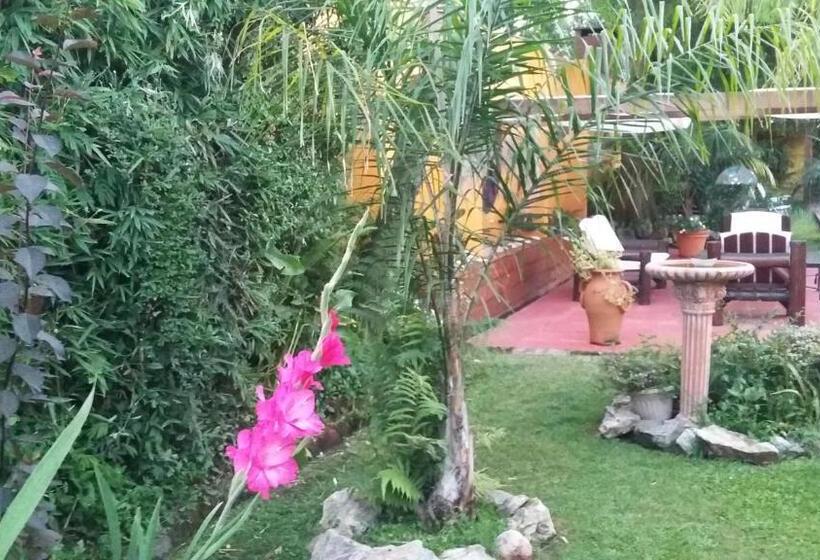 Bed and Breakfast El Bambu