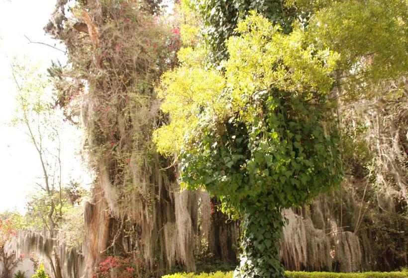 ベッドアンドブレックファースト Hacienda Suescún   300 Años De Historia