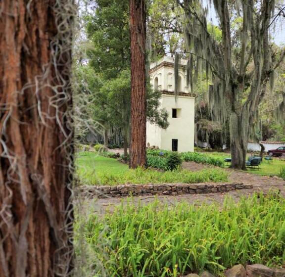 ベッドアンドブレックファースト Hacienda Suescún   300 Años De Historia