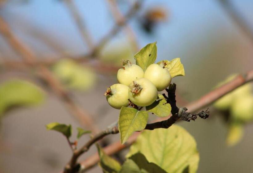 مبيت وإفطار Kasbah Itrane
