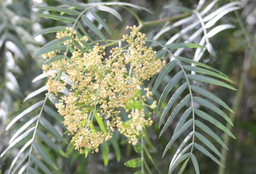 مبيت وإفطار Kasbah Itrane