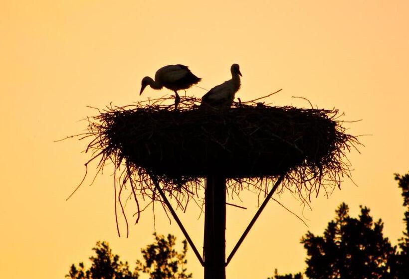 住宿加早餐  Kasteel Sterkenburg
