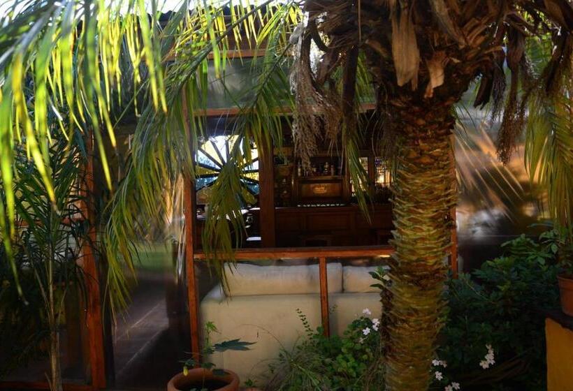 Bed and Breakfast El Bambu