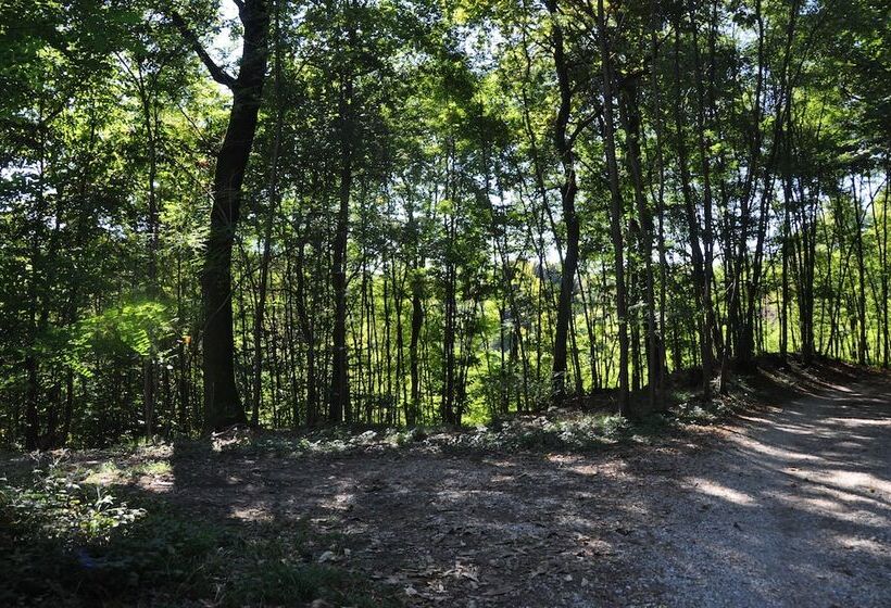 مبيت وإفطار Villa Fior Di Robinia