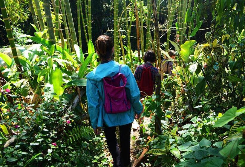 Bidea Backpackers Hostel