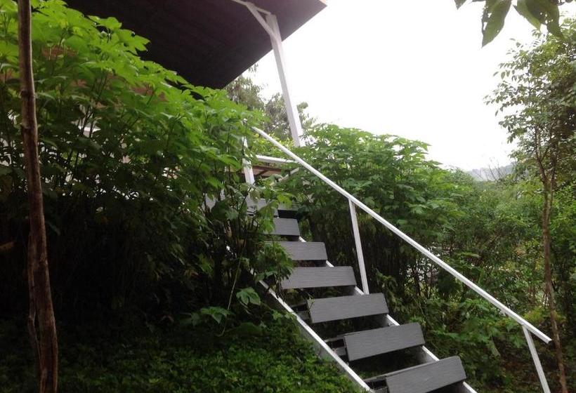 Flora Hill Pongyang Resort