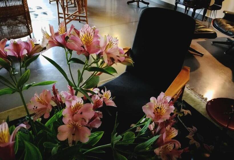 בית מלון כפרי Al Canton Agriturismo Di Design