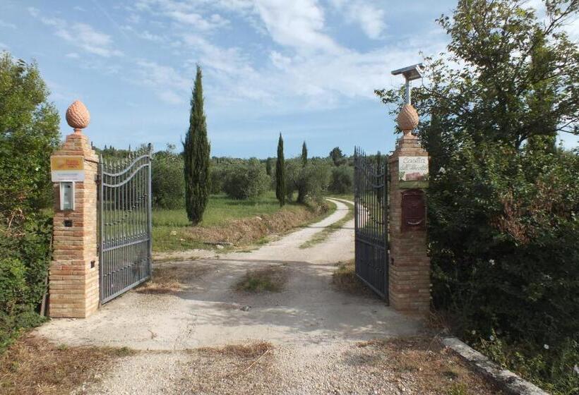 בית מלון כפרי Casetta Dell`uliveto