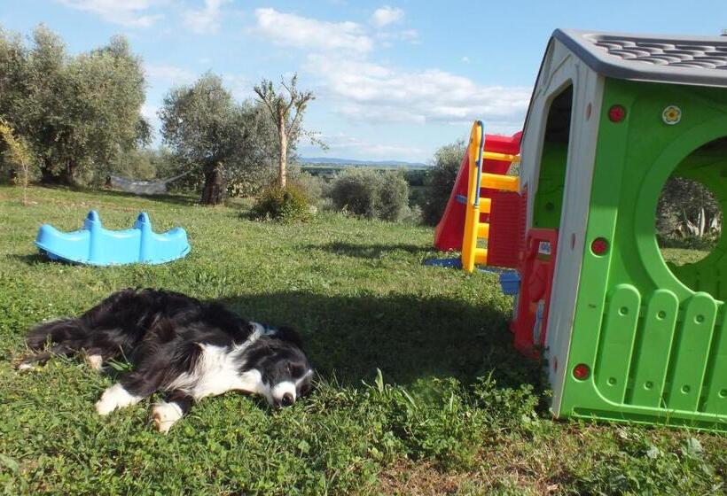 בית מלון כפרי Casetta Dell`uliveto