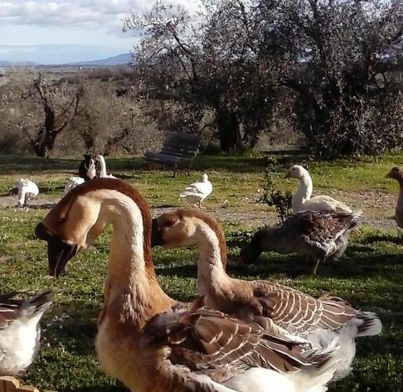 בית מלון כפרי Casetta Dell`uliveto