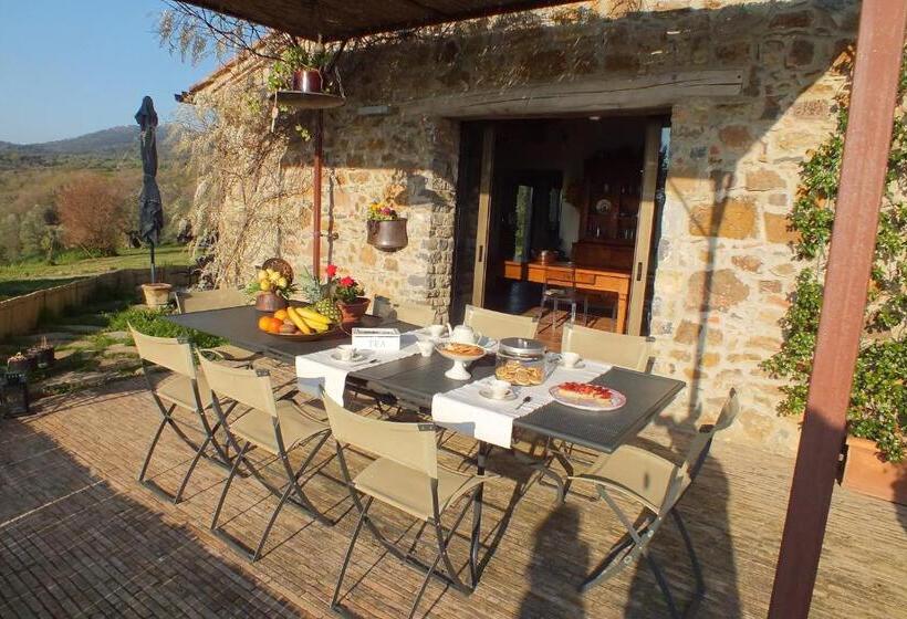 בית מלון כפרי Casetta Dell`uliveto