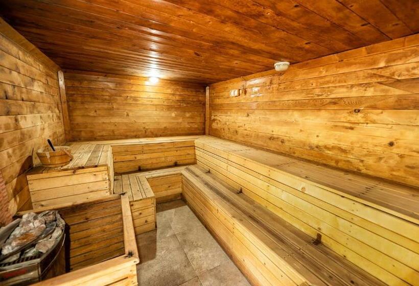 호텔 Complex Turistic Casa Romaneasca