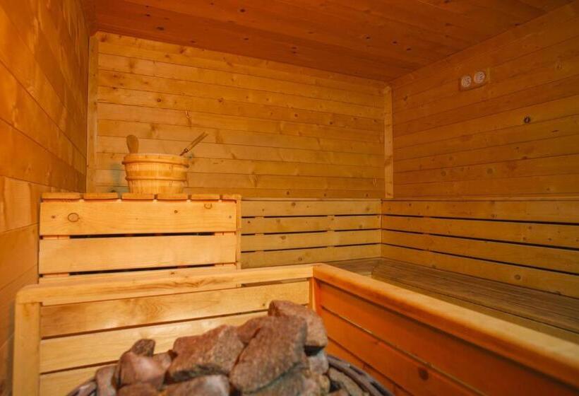 호텔 Complex Turistic Casa Romaneasca