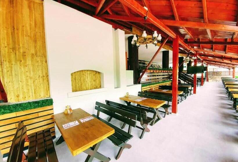 호텔 Complex Turistic Casa Romaneasca