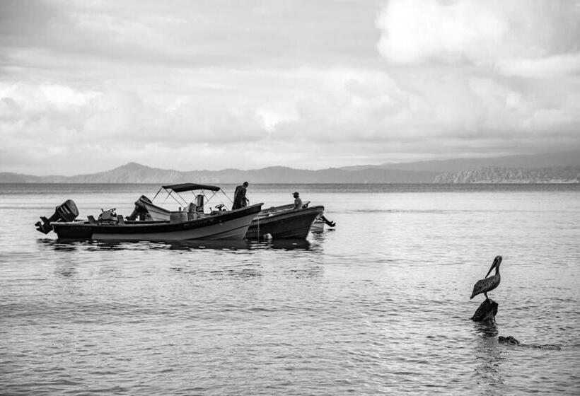 Отель Costa Choco