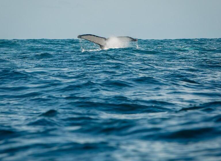 Отель Costa Choco