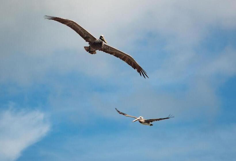 Отель Costa Choco