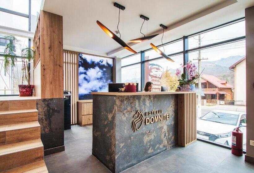 هتل Domnitei