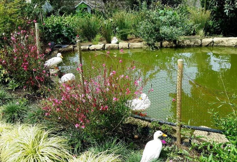 Отель Green Lantern Inn