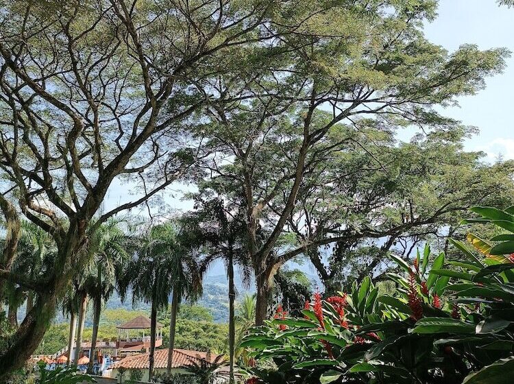 Отель Real Dinastía