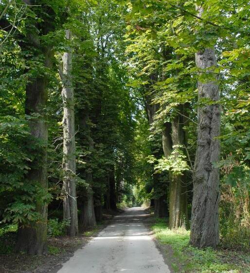 בית מלון כפרי Restaurant La Ferme De Grambais