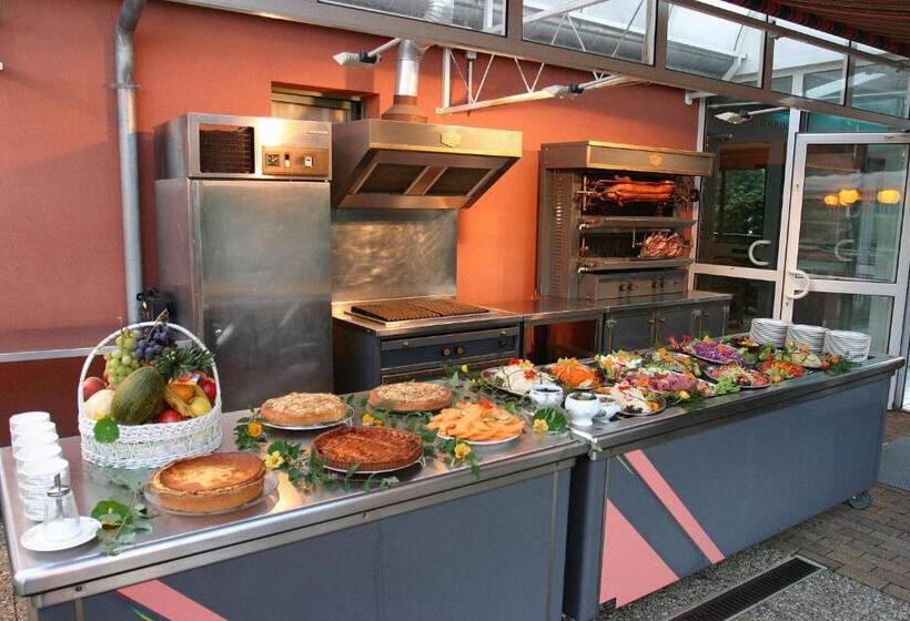 酒店 Restaurant La Tour Romaine   Haguenau   Strasbourg Nord