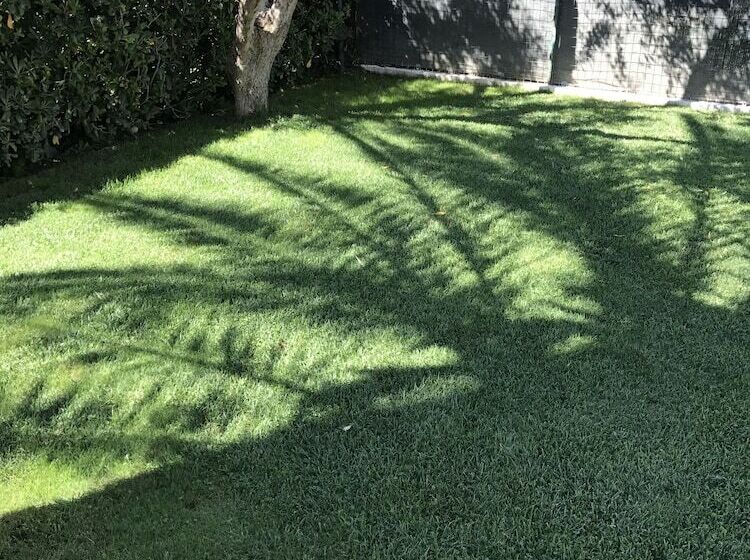 בית מלון כפרי B&b Rispescia Grosseto