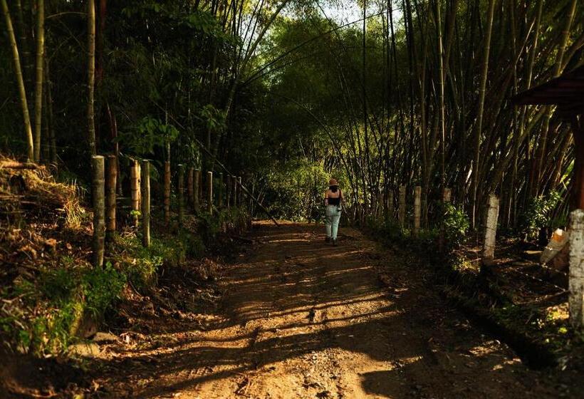 호텔 Selina Quindio