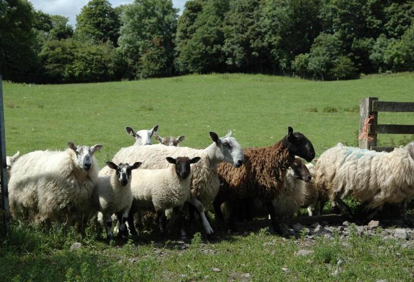 בית מלון כפרי Temple House