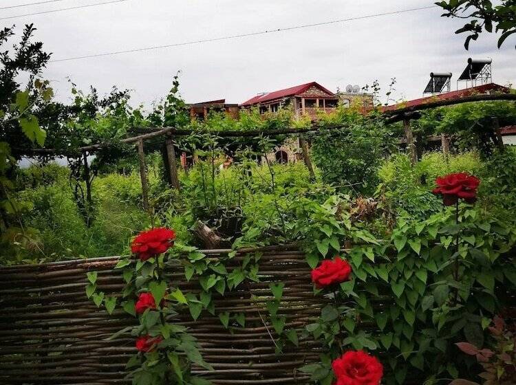هتل Twins Wine Cellar