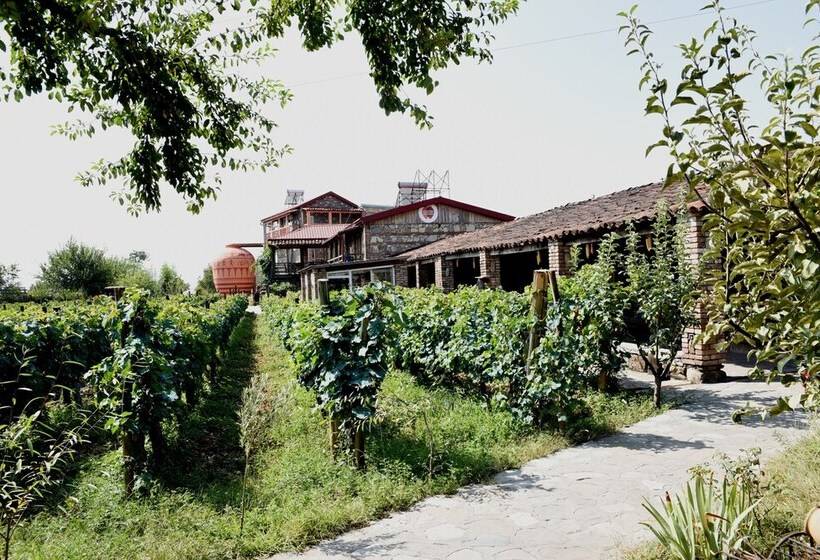 هتل Twins Wine Cellar