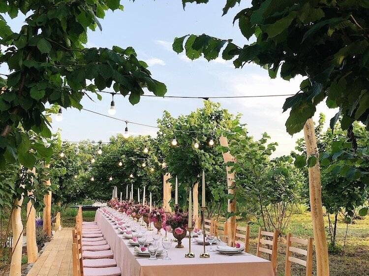 هتل Twins Wine Cellar