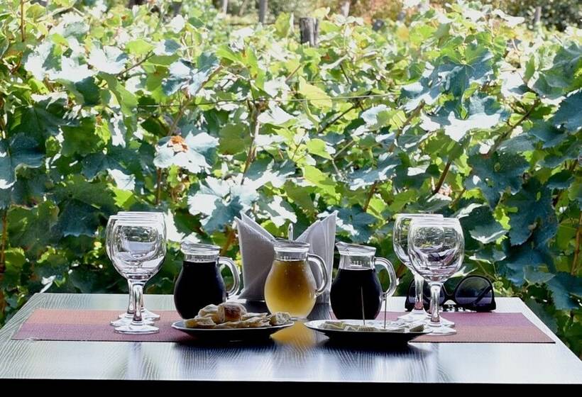 هتل Twins Wine Cellar