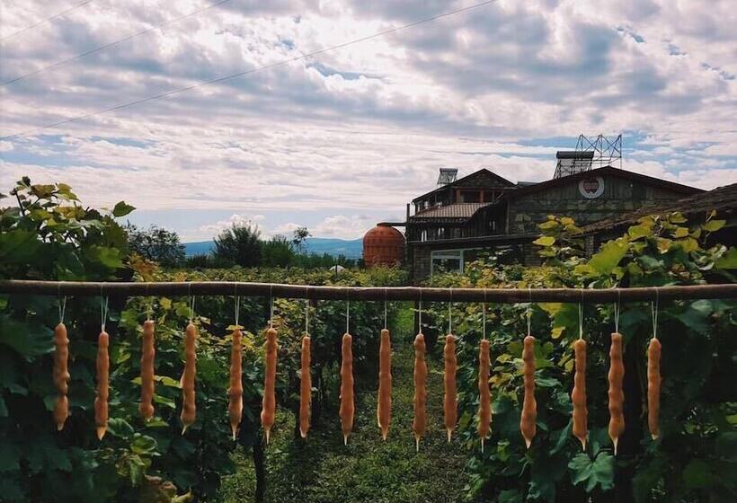 هتل Twins Wine Cellar