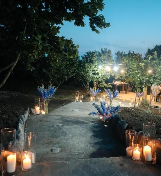 هتل Twins Wine Cellar