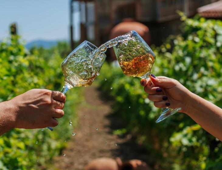 هتل Twins Wine Cellar