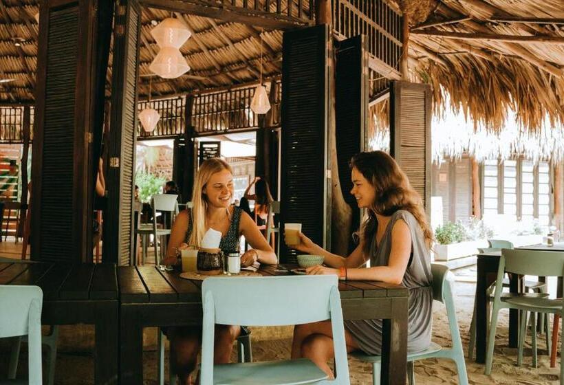 ホテル Viajero Tayrona Hostel & Ecohabs
