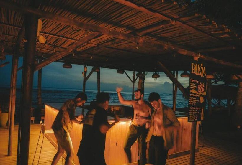 ホテル Viajero Tayrona Hostel & Ecohabs