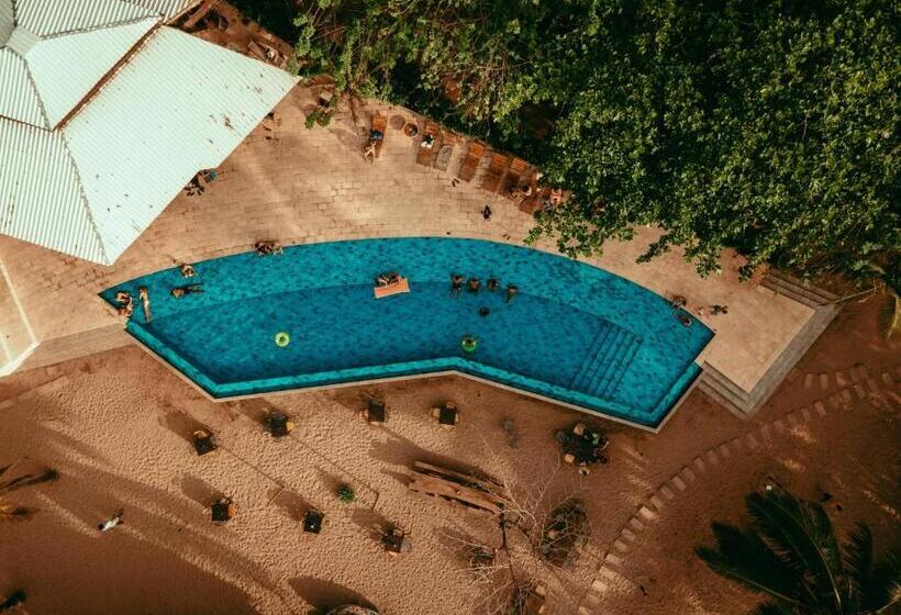 ホテル Viajero Tayrona Hostel & Ecohabs