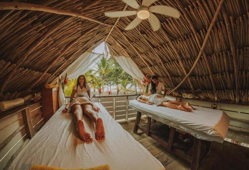 ホテル Viajero Tayrona Hostel & Ecohabs
