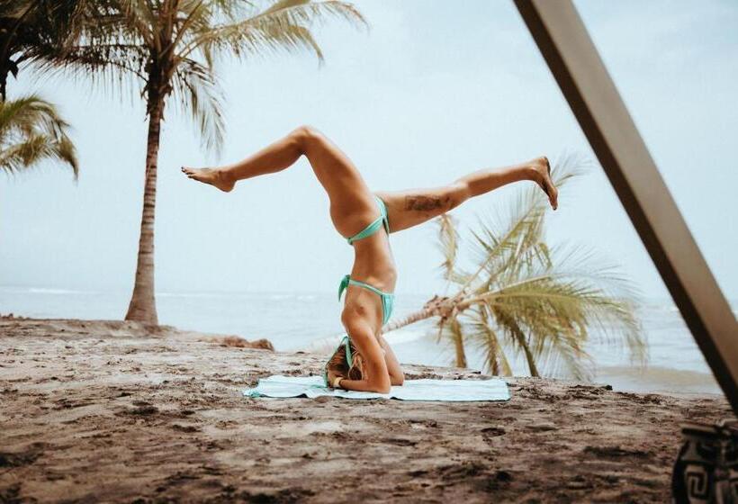 ホテル Viajero Tayrona Hostel & Ecohabs