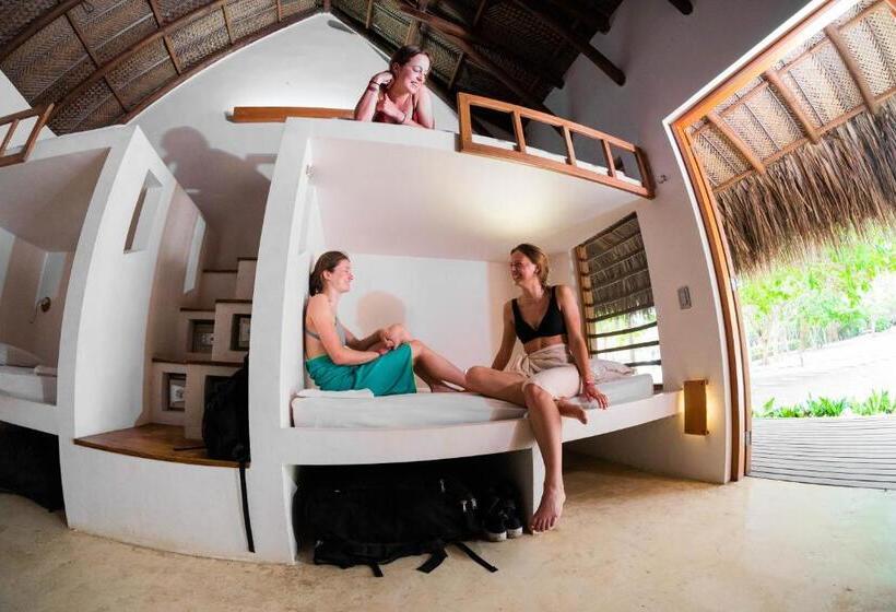 ホテル Viajero Tayrona Hostel & Ecohabs