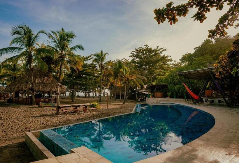 ホテル Viajero Tayrona Hostel & Ecohabs