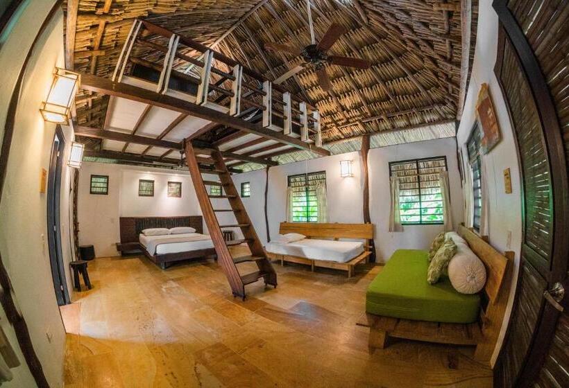 ホテル Viajero Tayrona Hostel & Ecohabs