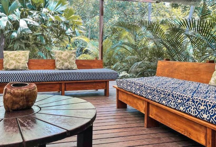 ホテル Viajero Tayrona Hostel & Ecohabs