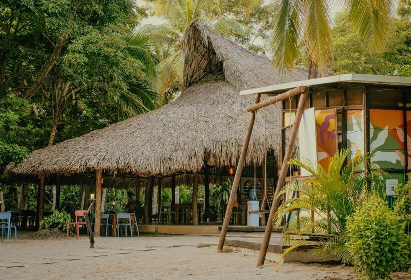 ホテル Viajero Tayrona Hostel & Ecohabs