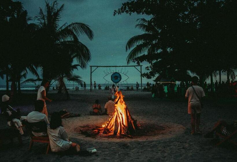 ホテル Viajero Tayrona Hostel & Ecohabs