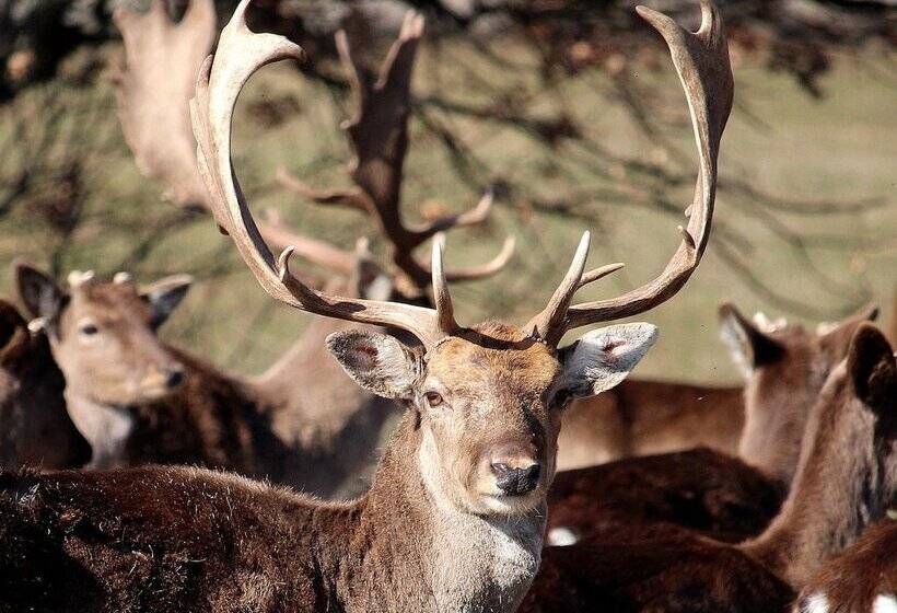 فندق Wine & Spa Complex Starosel